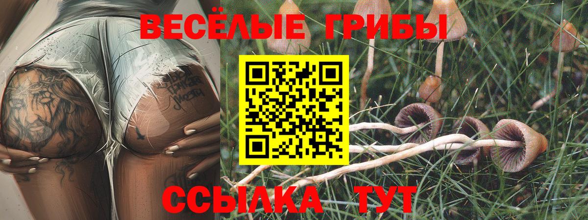 Курск  Псилоцибиновые грибы GOLDEN TEACHER  Вход с VPN 